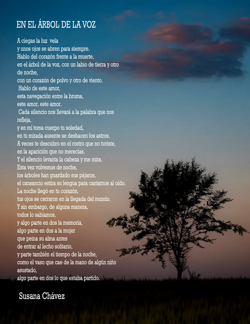Imagssde8