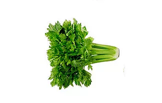 Image30eee123dd45678967ffiuiii