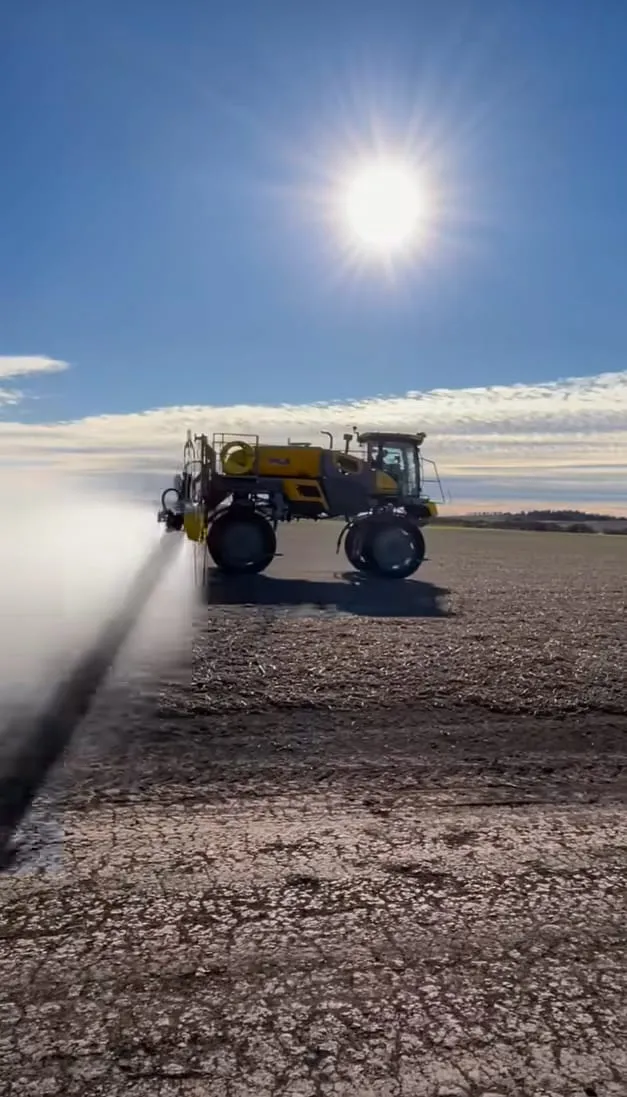 WhatsApp Image 2024-11-15 at 17.17.06