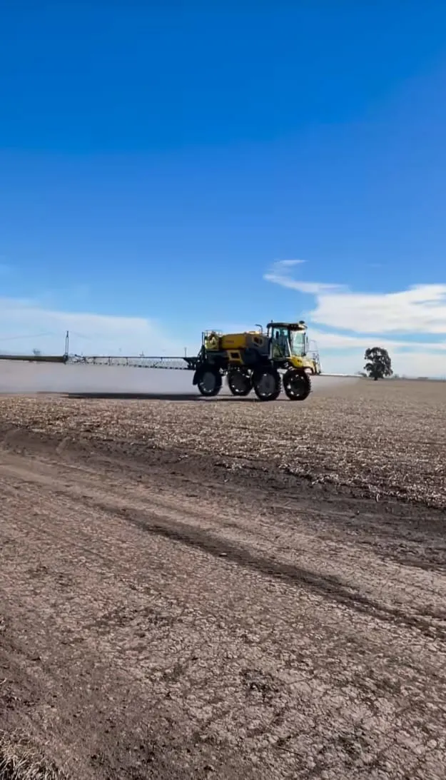 WhatsApp Image 2024-11-15 at 17.14.03