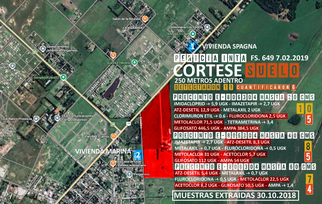 CORTESE