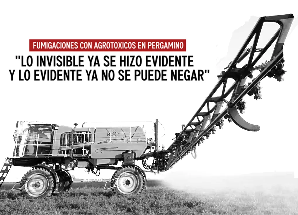 Imagen50ere