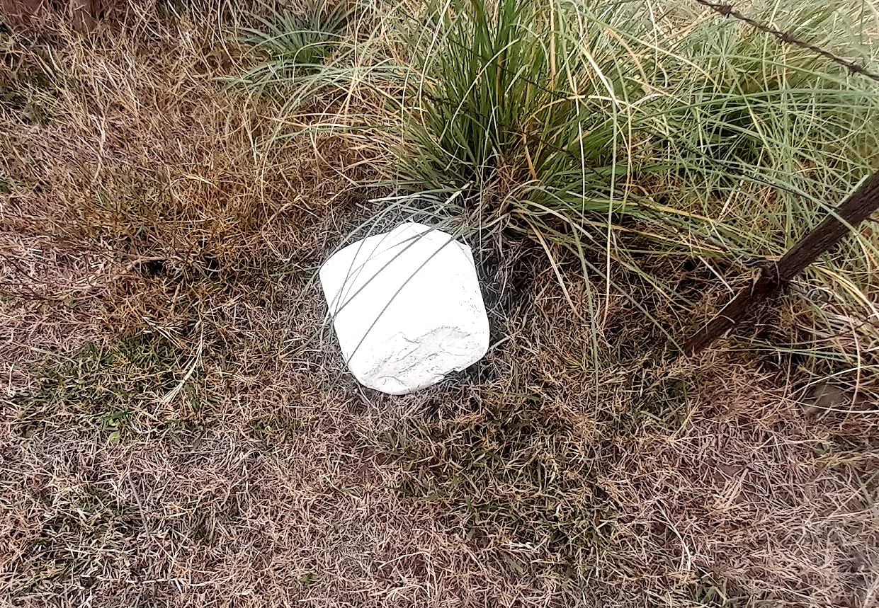 Image20dddsfffrrrrrrt44