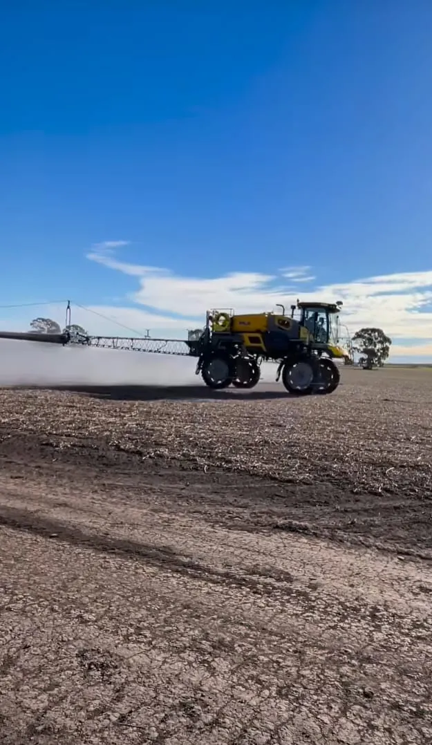 WhatsApp Image 2024-11-15 at 17.15.12