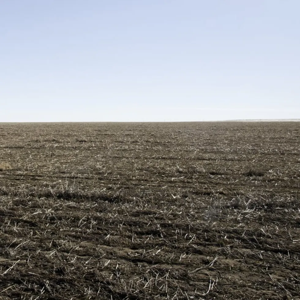 Agronegocio en Argentina