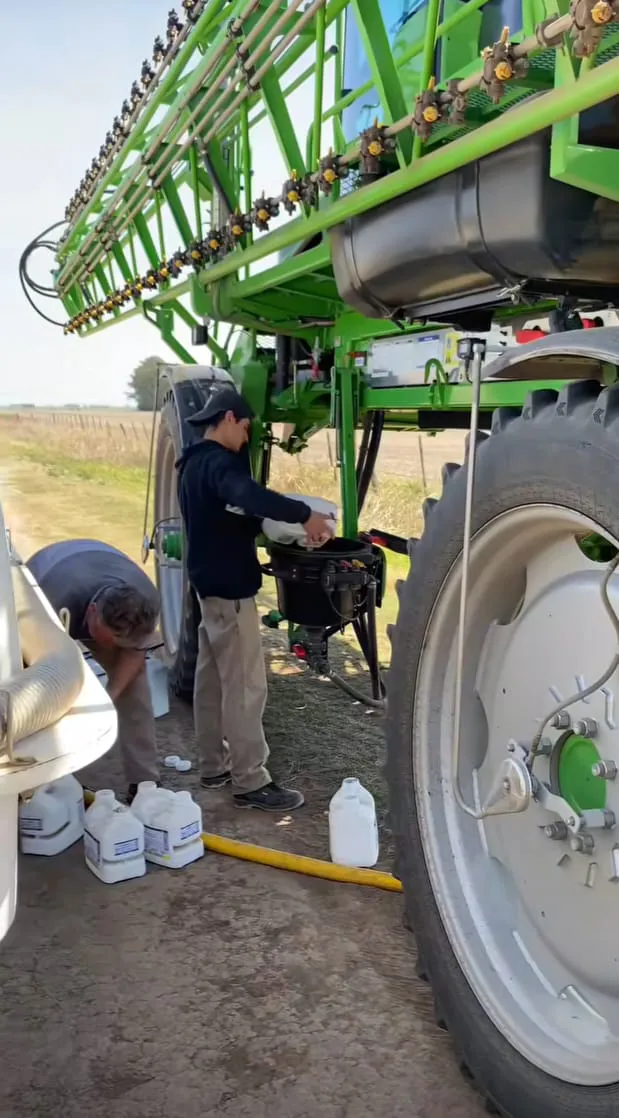 WhatsApp Image 2024-11-15 at 17.12.14