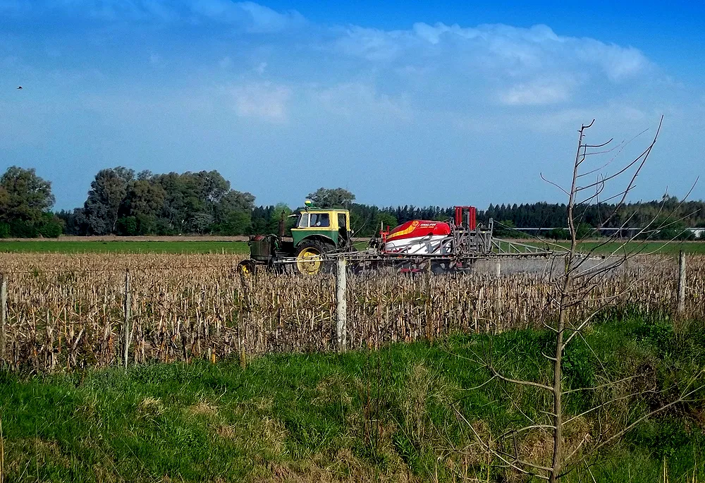 Imag789889789798e171