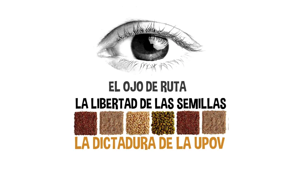 Abogado Fernando Cabaleiro