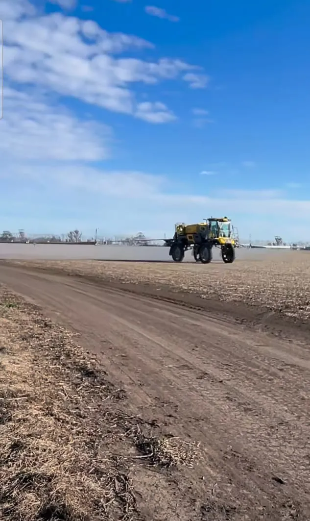 WhatsApp Image 2024-11-15 at 17.13.40