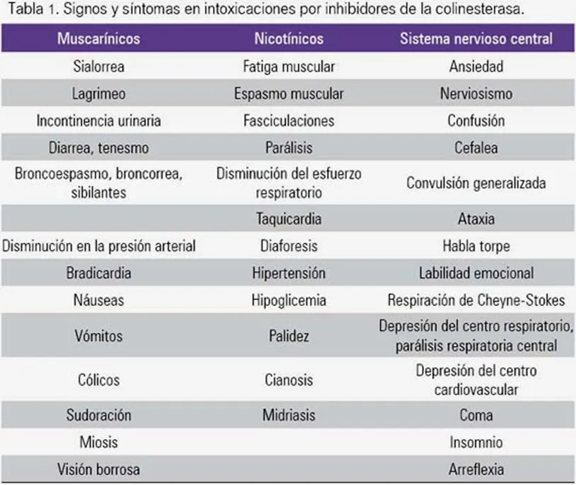 Image643757885695634