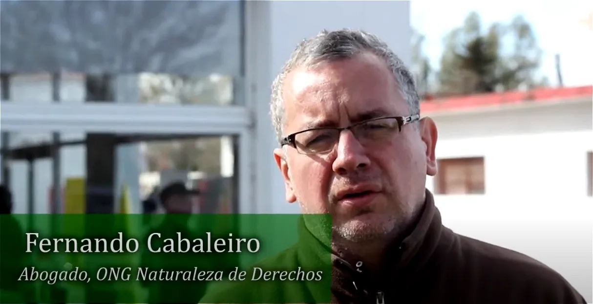 Fernando Cabaleiro Abogado. Naturaleza de Derechos.