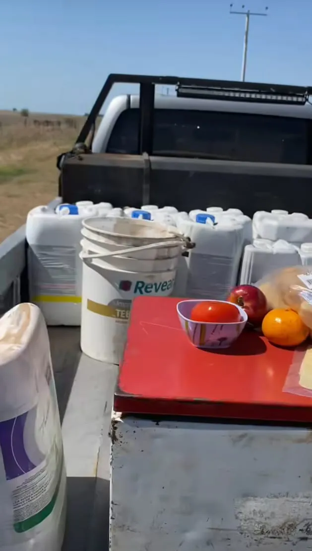 WhatsApp Image 2024-11-15 at 17.11.40