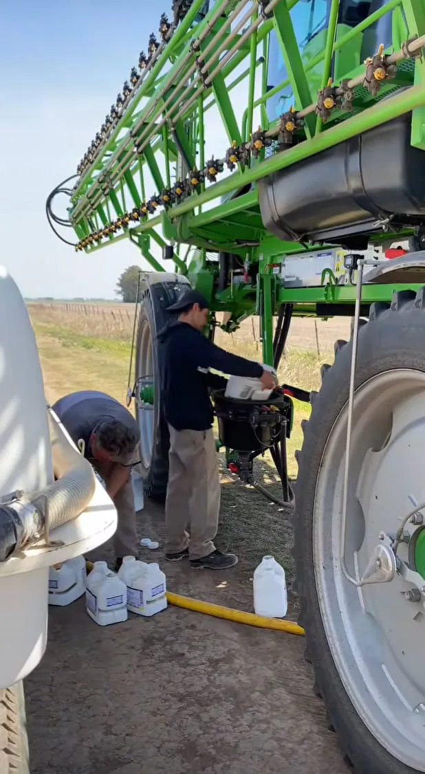 WhatsApp Image 2024-11-15 at 17.12.41