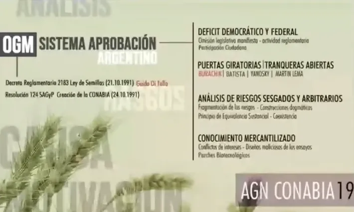 Abogado Fernando Cabaleiro