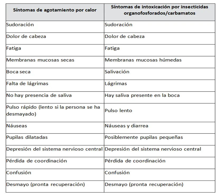 Imaqwrqwqrwqrwqrwge33