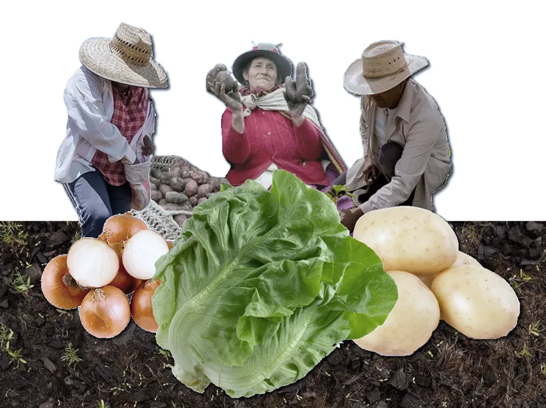 Reglamentación de la Ley de Agricultura, Familiar, Campesina e Indigena.
