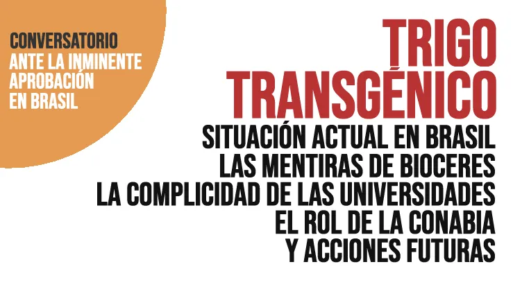 Abogado Fernando Cabaleiro