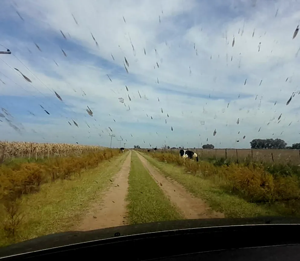 Imaqqwwge3fffffdddddd